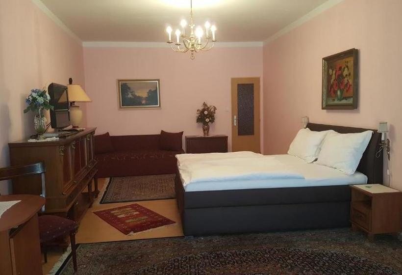 پانسیون Penzion Piano & Apartment Sokolov