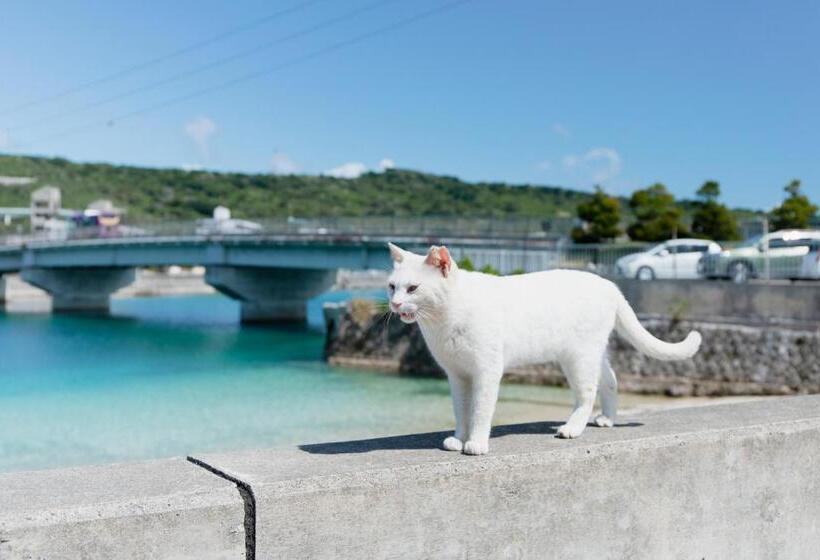 Pescatore Okinawa