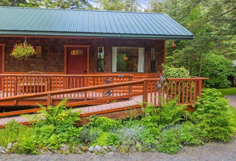 هاستل Steller Inn