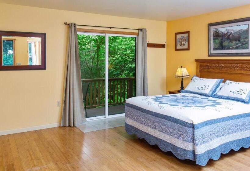 هاستل Steller Inn