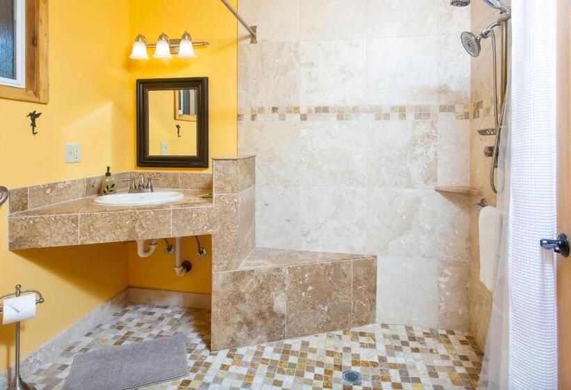هاستل Steller Inn
