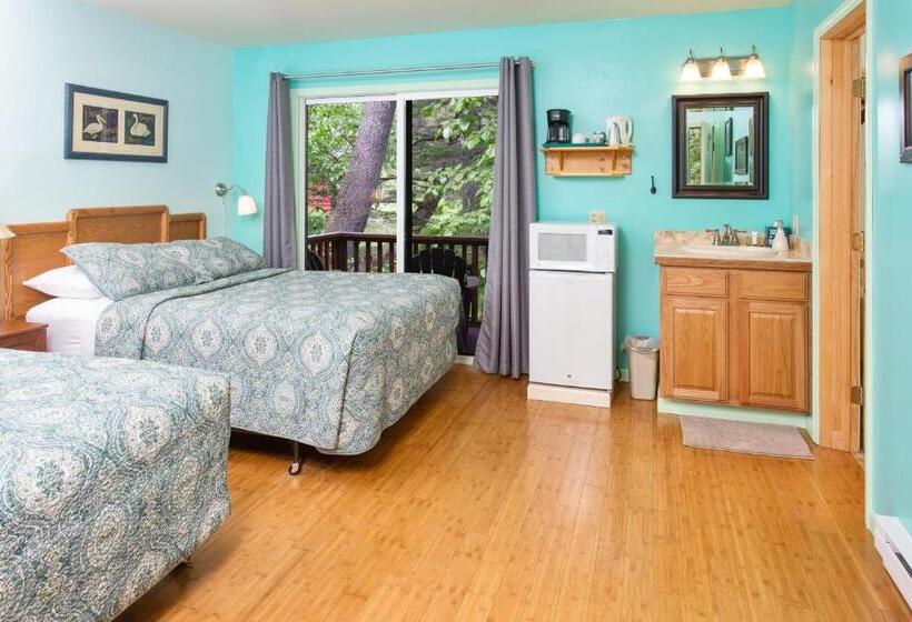 هاستل Steller Inn