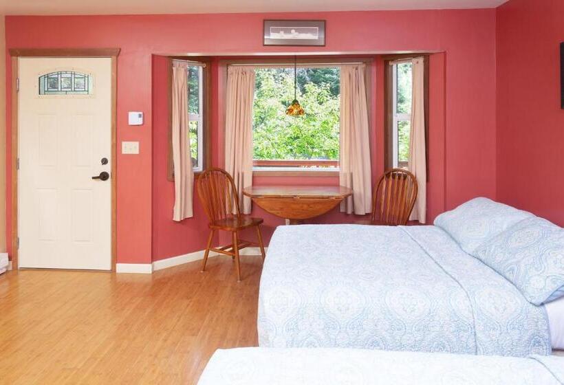هاستل Steller Inn