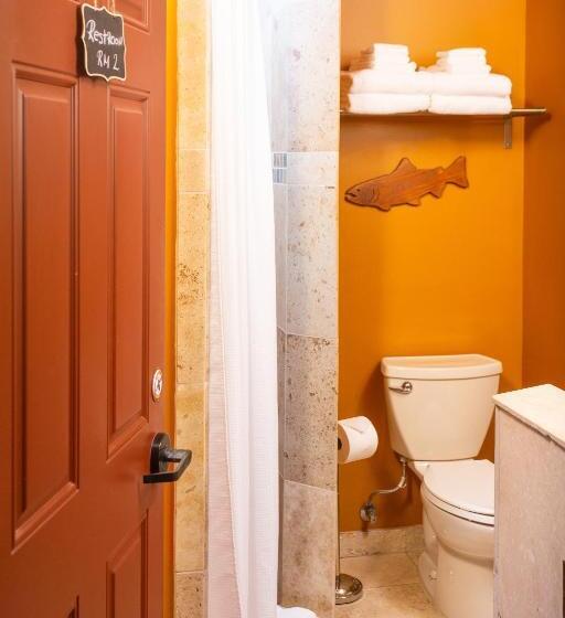 هاستل Steller Inn