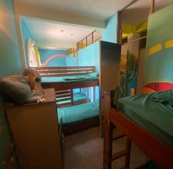 پانسیون Pipeline Hostel