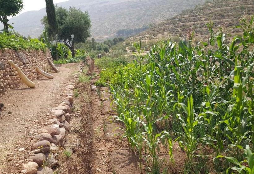 هاستل Le Douar Berbere