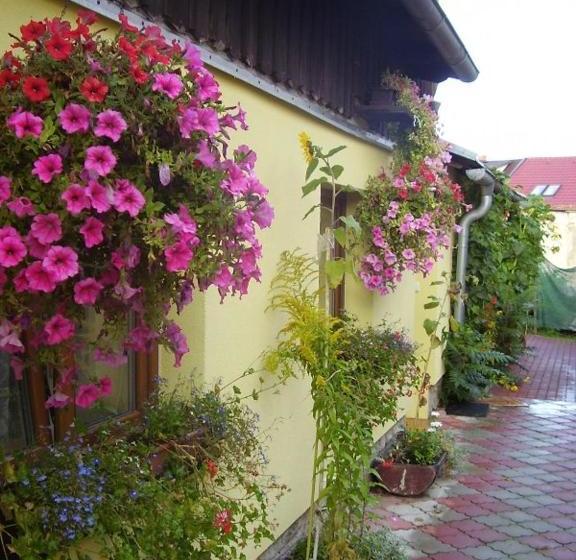 پانسیون Penzion Many Peny