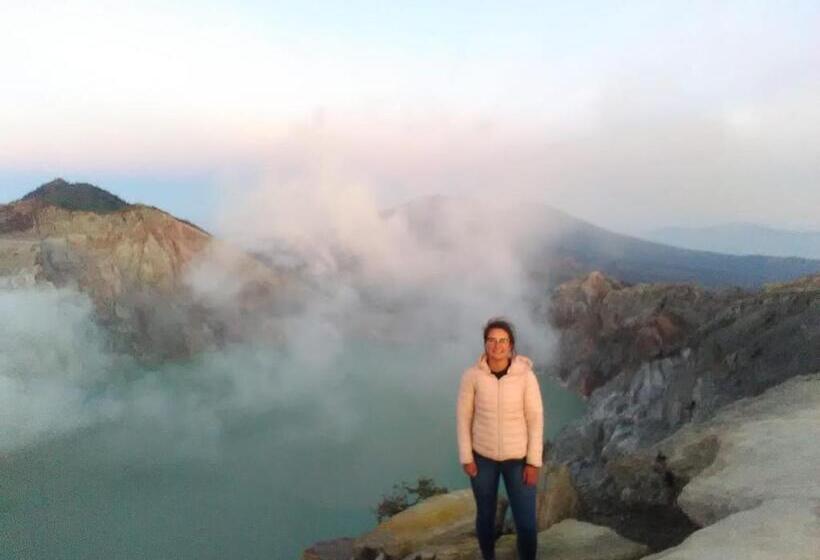 پانسیون The Arya Guest House