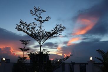 Sun Apartment