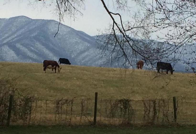 Peabody S  Hip Little Stay  B&b