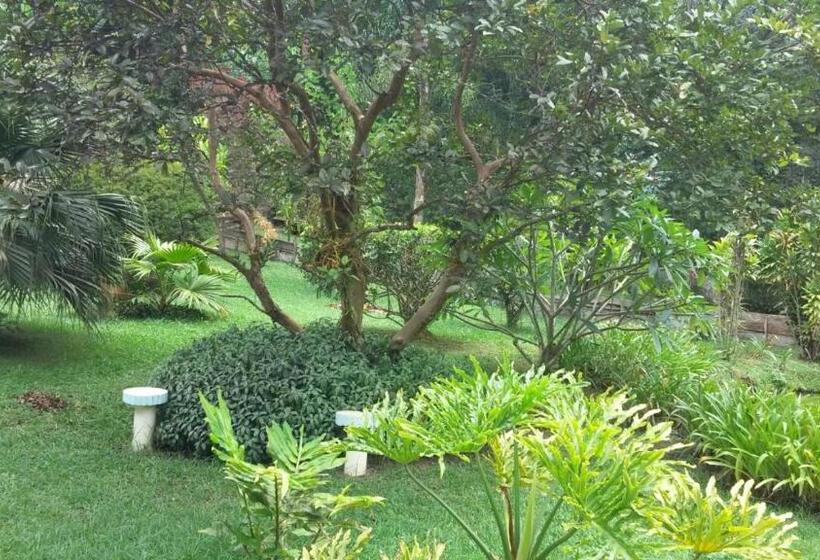 ペンション Abaete Pousada Da Estancia