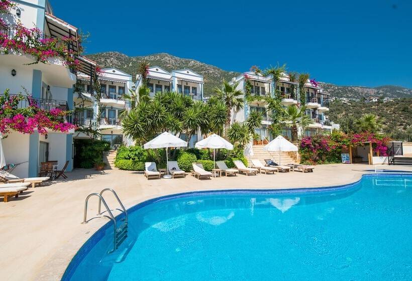 The Mediteran