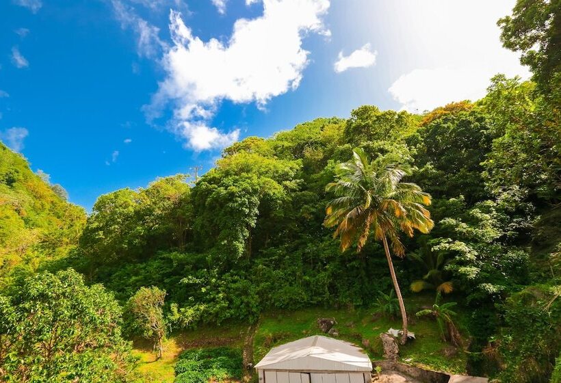 پانسیون Serenity Escape St Lucia