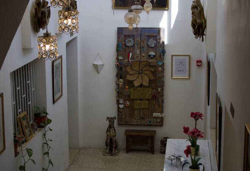 پانسیون Gallery