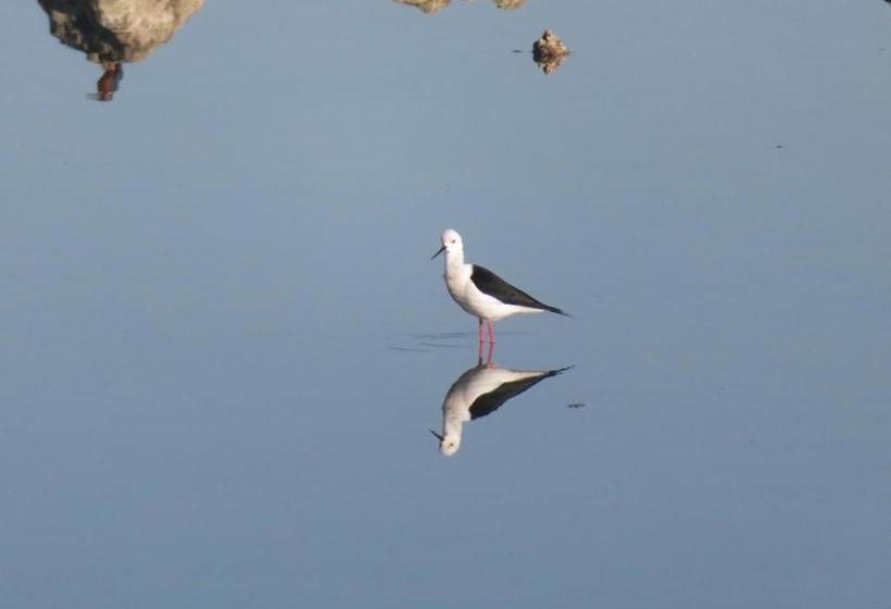 پانسیون Villa Mehdia Plage