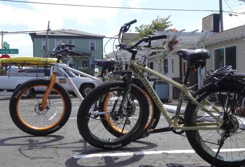 فندق صغير Itty Bitty Inn