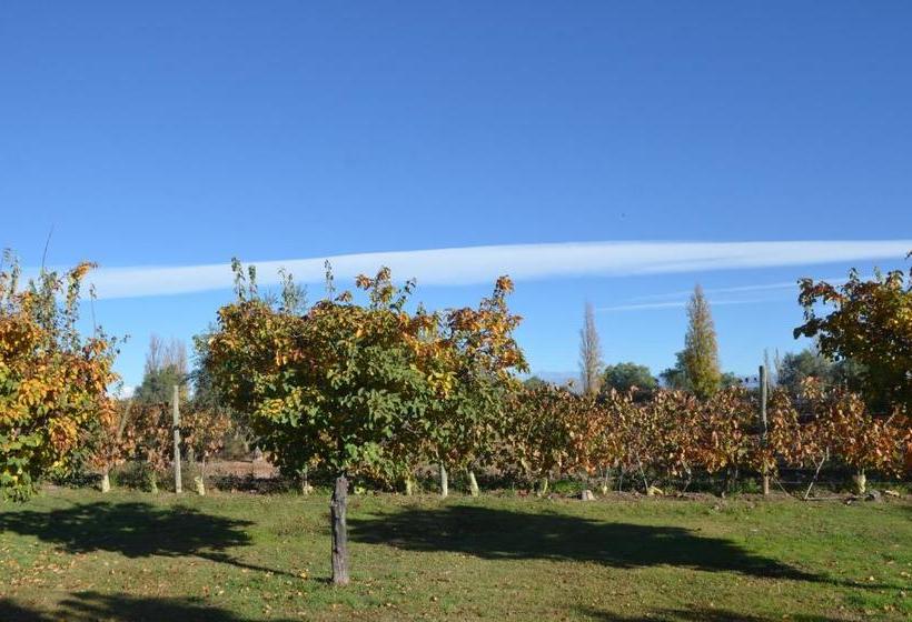 Finca Fisterra