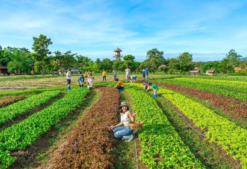 هتل Coolliving Farmhouse Organic