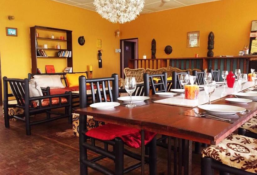 פנסיון Kokodo Guest House