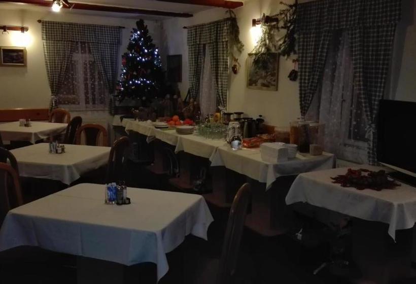 膳宿费 Penzion V Zelený