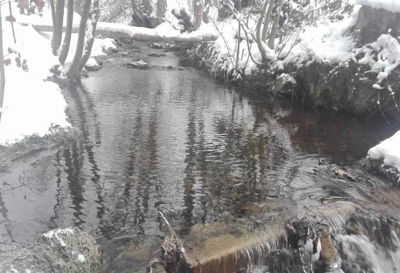 膳宿费 Penzion V Zelený