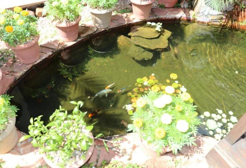 پانسیون Eco Pousada Jardim Do Eden