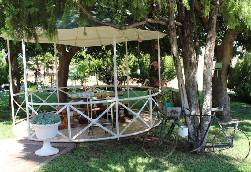 بنسيون Villa Lin Zane
