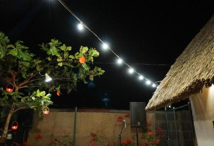 پانسیون Vibra Guesthouse