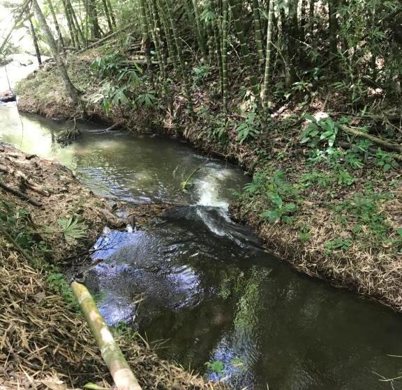 هتل Casa De Campo Sao Paulo