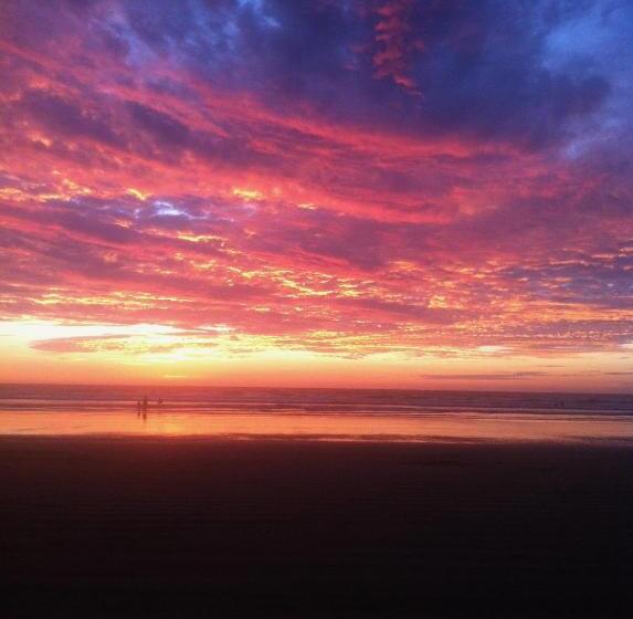 پانسیون La Jungla