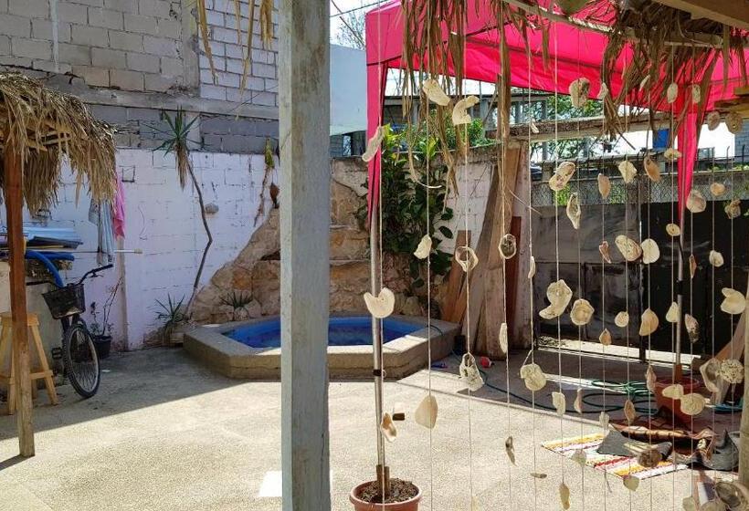 پانسیون La Jungla