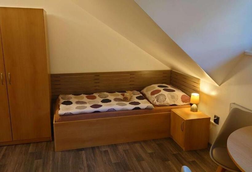 پانسیون Penzion Tcv Pardubice