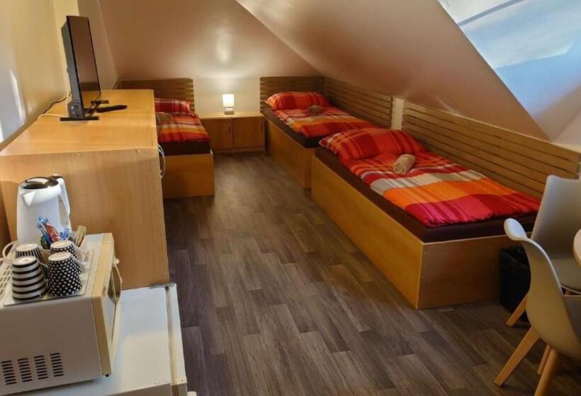 پانسیون Penzion Tcv Pardubice