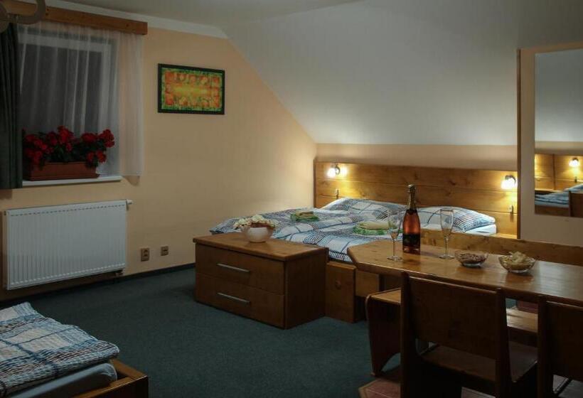 پانسیون Wellness Penzion Palice