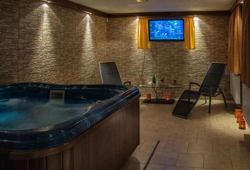 پانسیون Wellness Penzion Palice