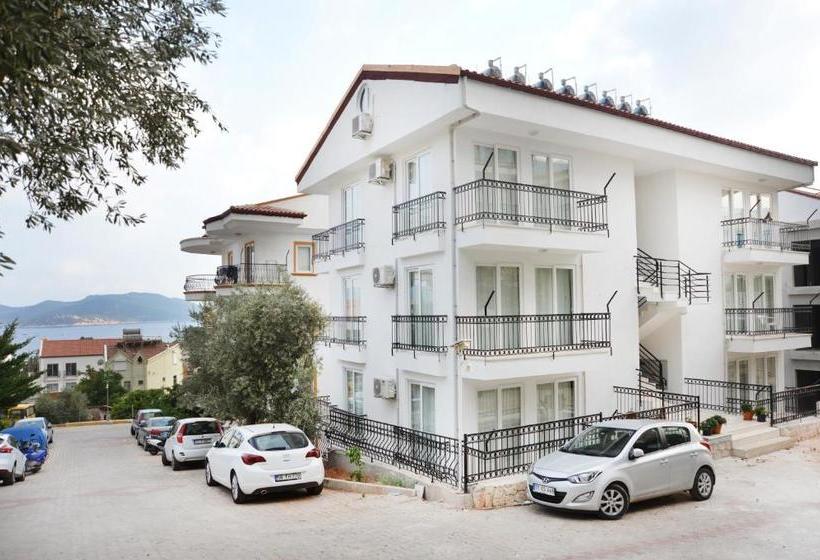 Duygu Apart