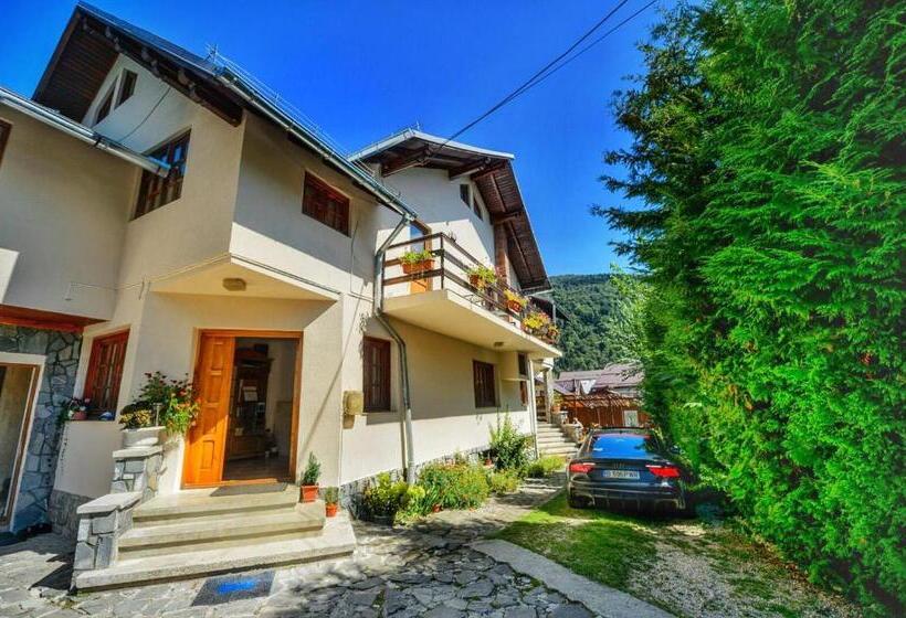 پانسیون Amandra Chalet