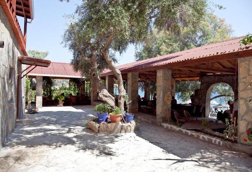 膳宿费 şahin Motel & Restaurant