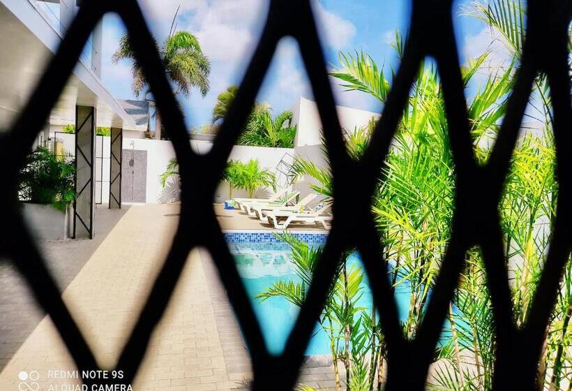 Studios 11and11aruba