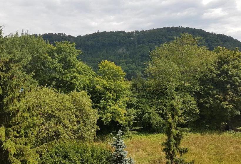 فندق صغير Gasthaus Krone