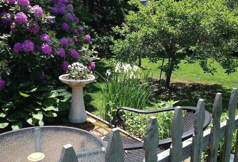 הוסטל Morning Glory Inn