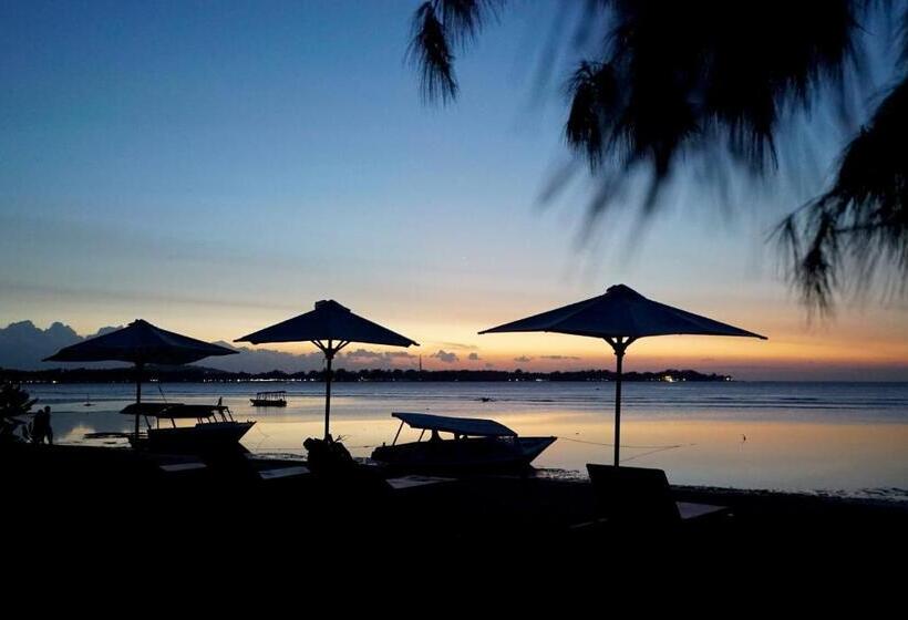 پانسیون Blue Marlin Dive Gili Air