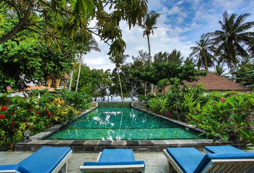 پانسیون Blue Marlin Dive Gili Air