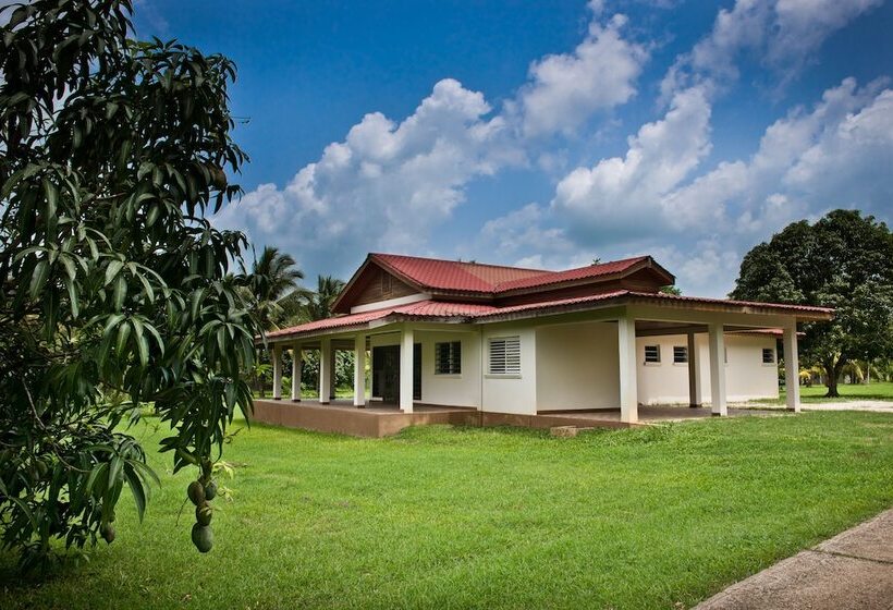 פנסיון Rock Farm Guest House