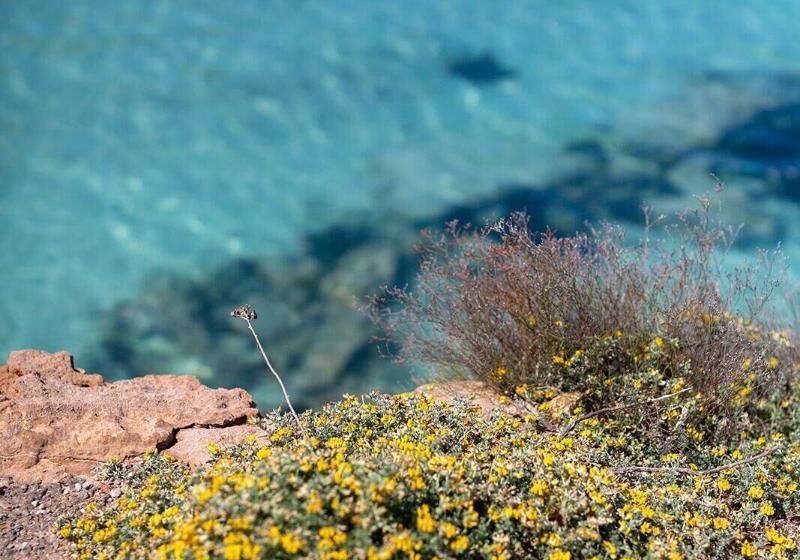 בית מלון כפרי Hostal La Cigüeña