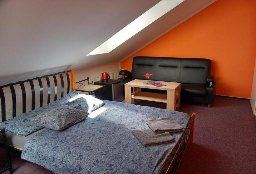 پانسیون Penzion Vulture Ostrava