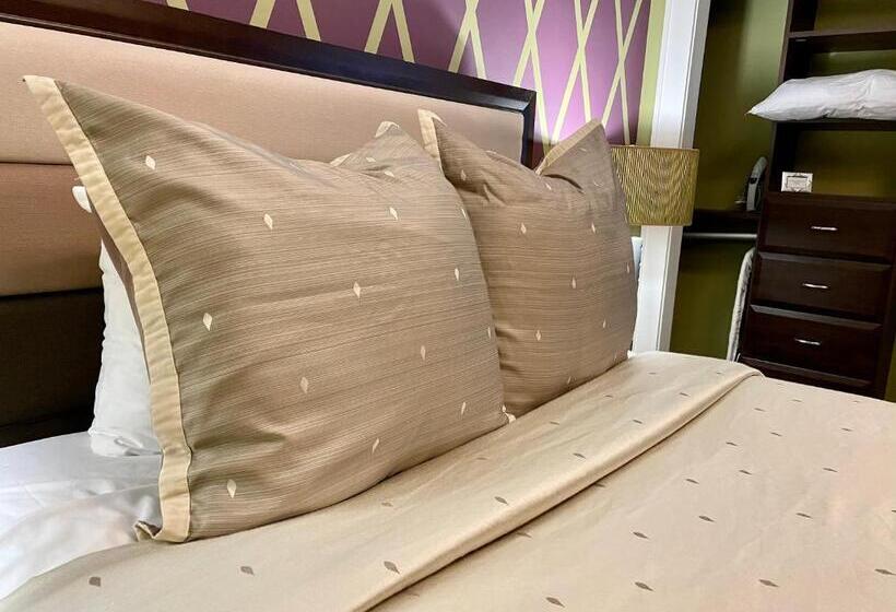 旅馆 Culpeper Center Suites