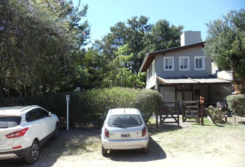 هاستل Dandy Suites