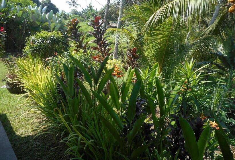 펜션 Cegeng Lestari Guest House
