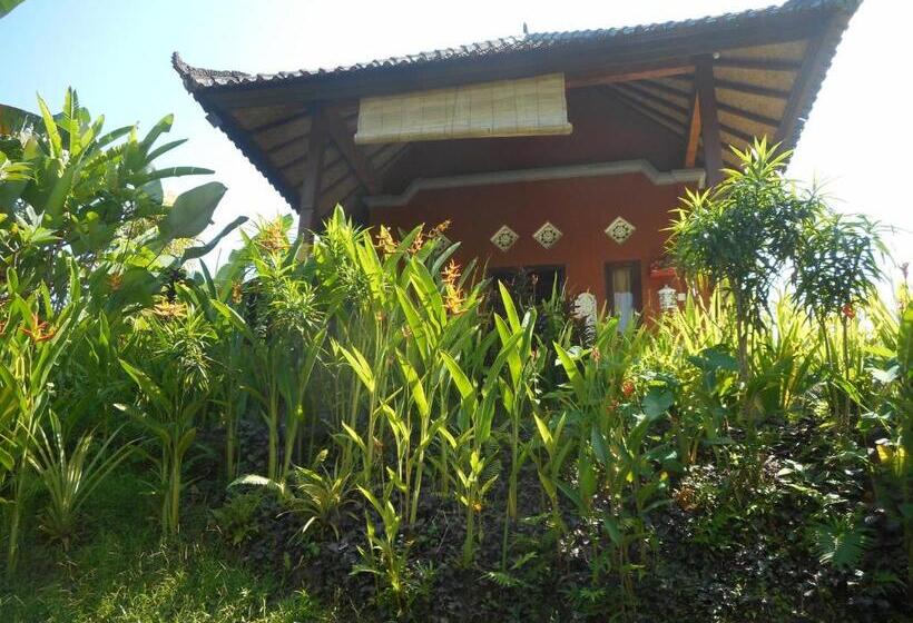 펜션 Cegeng Lestari Guest House